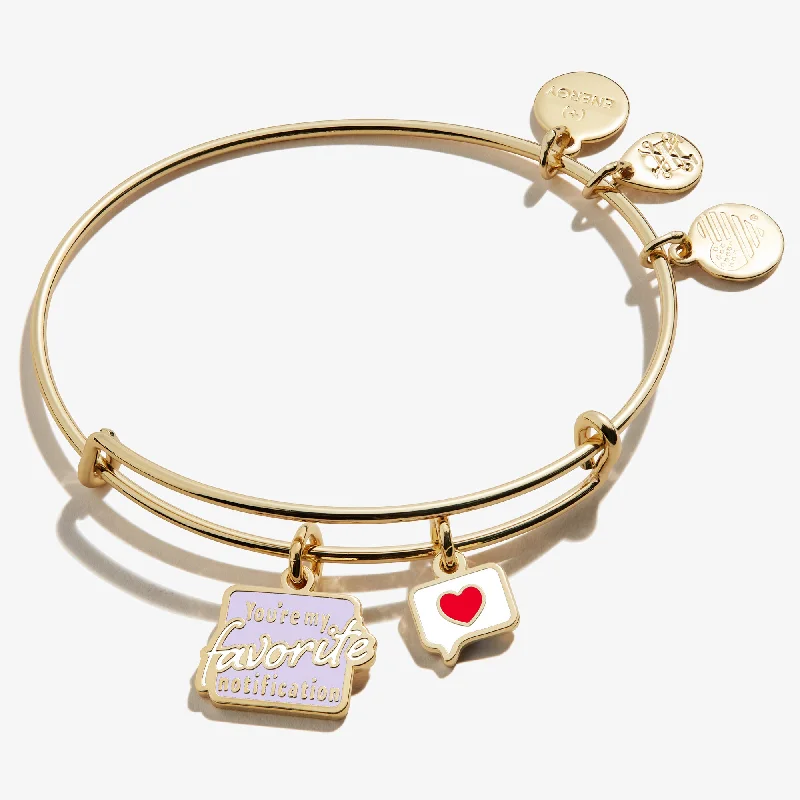 Silver bangles with polished mirror finish shine -'You're My Favorite Notification' Duo Charm Bangle Bracelet