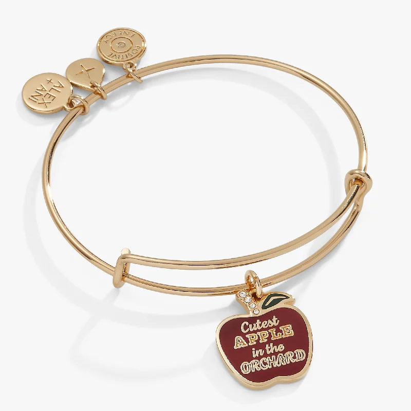 Bangles with hammered silver for rustic appeal -Apple Orchard Charm Bangle